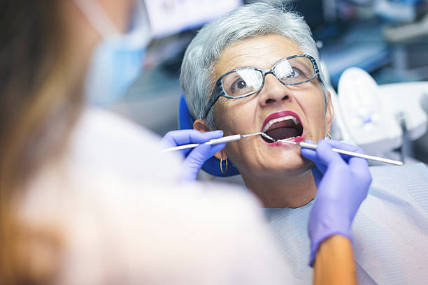 Trusted Fife Heights, WA Holistic Dental Care Services Experts